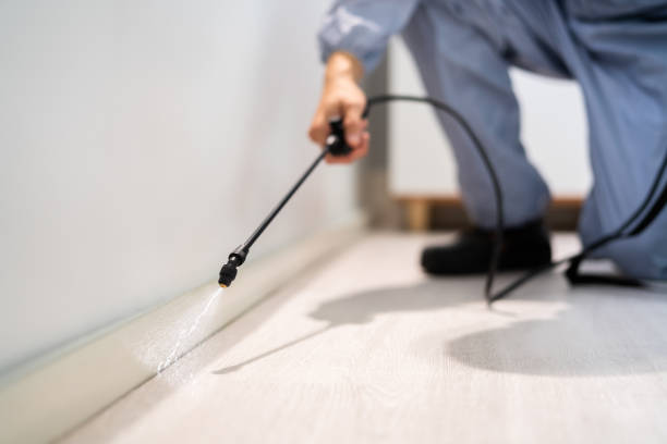 Licensed Pest Control service in Idabel, OK - Show Me Pest Control